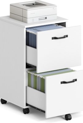 VASAGLE 2-Drawer File Cabinet, Small Rolling Filing Cabinet for Home...