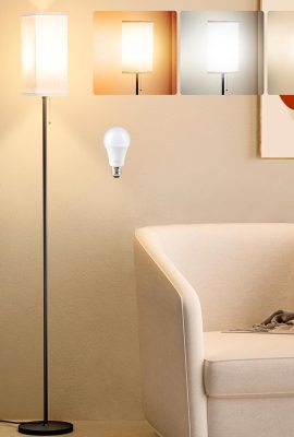 Floor Lamps for Living Room, Modern Standing Lamp with Pull Chain...