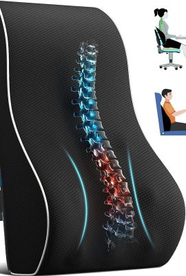 QUTOOL Lumbar Support Pillow for Office Chair,Office Home Essentials,Back Support Pillow for Car, Chair Cushions,Back Pain Relief Improve Posture,Mesh Cover Double Adjustable Straps QUTOOL Lumbar Support Pillow for Office Chair,Office Home Essentials,Back Support Pillow for Car, Chair Cushions,Back Pain Relief Improve Posture,Mesh Cover Double Adjustable Straps