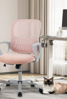 Smug Home Office Desk Chair – Ergonomic Mid-Back Computer Task...