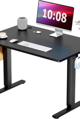 Smug Standing Desk, Adjustable Height Electric Sit Stand Up Down Computer...