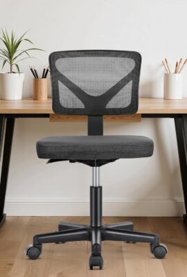 Sweetcrispy Office Computer Desk Chair, Ergonomic Low-Back Mesh Rolling...