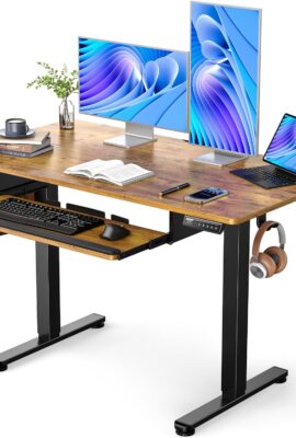 ErGear Electric Standing Desk with Full Size Keyboard Tray, Adjustable...
