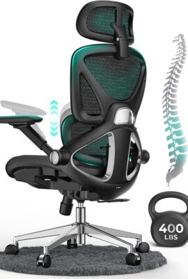 CAPOT Ergonomic Mesh Office Chair, Adjustable Lumbar High Back Desk...