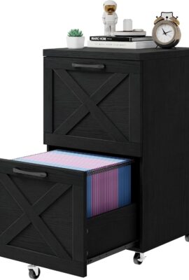 Vabches Farmhouse File Cabinet with 2 Drawers, Vertical Filing Cabinet...
