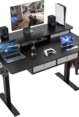 Electric Standing Desk, 48 * 30 Inches Adjustable Height with 4 Drawers, Double Storage Shelves, Home Office Workstation Sit Stand up Desk (Classical Black)