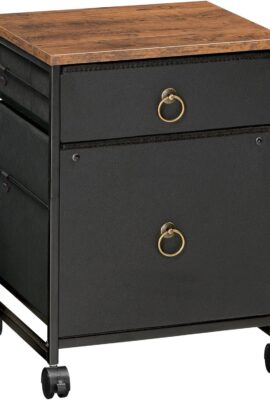 HOOBRO File Cabinet, 2-Drawer Vertical Mobile Office Cabinet, Rolling Printer Stand, for A4/Letter Size Files, Nonwovens Drawer, for Home Office, Rustic Brown and Black BFK21WJ01