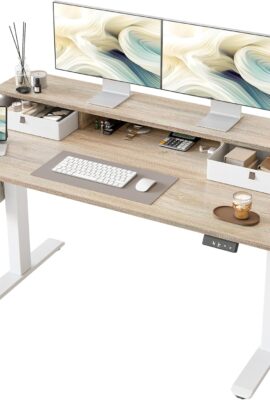 TIQLAB Standing Desk with Two Drawers, Stand Up Standing Desk Adjustable Height, Electric Sit Stand Table with Storage Shelf and Splice Board, 55 * 24 inch, Maple
